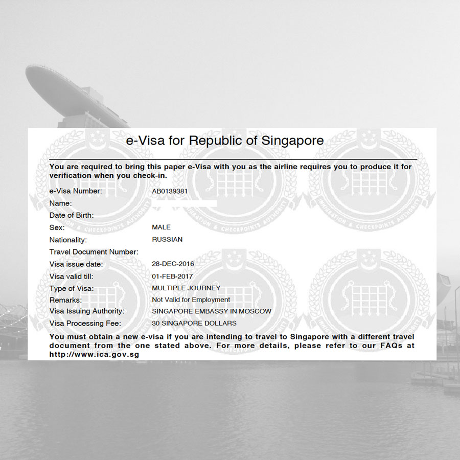 Сингапурская виза